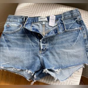 NWT AGOLDE Parker Denim Shorts Size 30 in Swapmeet Dark